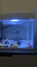 森森（SUNSUN）超白鱼缸一体缸自循环客厅桌面小型家用水族箱HEJ-380 实拍图