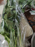 带根香菜100g 实拍图