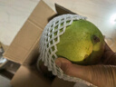 集南鲜 凯特芒果 四川攀枝花芒果当季大青皮黄皮大芒果新鲜水果整箱 特级果王 单果600g起  净重4.5斤 实拍图