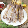 富海锦鱿鱼半支串净重440g 10-12串 轰炸大鱿鱼烧烤火锅食材 海鲜软足类 实拍图