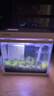 森森（SUNSUN）超白鱼缸一体缸自循环客厅水族箱桌面家用懒人免换水小型金鱼缸 超白HEJ250标配 带滤材+棉 实拍图