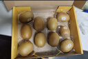 佳沛（zespri）新西兰  阳光金奇异果10粒礼盒巨大果单果约144-175g 水果 猕猴桃 实拍图