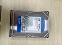 西部数据（WD）台式机蓝盘 WD Blue 3.5英寸家用存储蓝盘 1T全新 6T内置电脑CMR垂直机械2T硬盘 SATA接口蓝盘4T 1TB WD10EZEX 实拍图