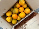 土八鲜江西橙子赣南脐橙新鲜水果赣州脐橙手剥甜橙礼盒 特级橙9-10斤礼盒【单果210g+】 实拍图