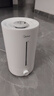美的（Midea）加湿器空气净化器一体鼻炎家用卧室超大雾量取暖补水静音除菌小型工业喷雾雾化器礼物国家补贴3VWL 实拍图