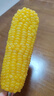 京鲜生 东北黄玉米净重3.6斤 8根*220g+ 真空包装加热即食 源头直发 实拍图