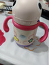 babycare儿童保温杯婴儿宝宝吸管水杯霸王龙不锈钢保温杯300ml-新旧款混发 实拍图