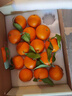 象山红美人正宗象山红美人柑橘【多地次日达】28号果冻橙年货节送礼盒 【超甜 | 甄选级】12枚单果200g+ 【自吃推荐-锁鲜装】颗颗精品 实拍图