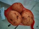土豆500g 实拍图