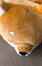 名创优品（MINISO）柴犬系列毛绒公仔趴姿玩具娃娃抱枕睡觉室内卧室办公室生日礼物 实拍图