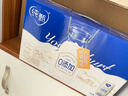 蒙牛纯甄0添加原味风味酸奶200g*10盒 送礼盒装 实拍图