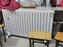 臻泊迩取暖器注水式电暖气片电暖器壁挂立式水暖家用全屋取暖大面积升温插电节能省电加水循环散热器烘衣 10柱智能遥控款【10-12㎡】 实拍图