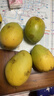 三亚芒果  海南芒果新鲜水果生鲜整箱当季大青皮芒 热带孕妇芒果 10斤装(净果8.5-9斤)单果200克起 实拍图
