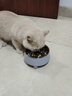HELLOJOY不锈钢宠物食盆狗碗猫狗碗食盆水粮两用宠物碗喂食器 灰色 实拍图