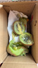 现货徐香绿心猕猴桃生鲜水果奇异果大果当季时令水果新鲜整箱批发 10枚彩箱60-80g 实拍图