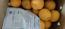 集年鲜江西赣南脐橙当季新鲜橙子水果现摘现发节日送礼生鲜 含箱10斤净重9斤优选果150-230g 实拍图