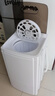 长虹脱水机甩干机小型迷你家用甩干桶单桶宿舍出租房大容量脱水桶 10kg【塑料内桶】+1年质量换新 实拍图