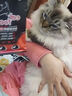 汉优发酵幼猫粮 布偶蓝猫橘猫加菲英短猫咪通用奶香味全价猫干粮 发酵幼猫试吃50g*5袋 实拍图