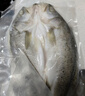 鲜喜爱 冷冻千岛湖有机鳙鱼头1.5斤花鲢鱼头胖头鱼 生鲜鱼类 海鲜水产 实拍图