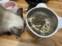 HELLOJOY猫碗狗碗304不锈钢猫食盆防打翻猫咪喝水碗保护颈椎增高宠物饭碗 实拍图