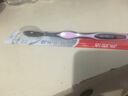高露洁（Colgate）细毛护龈备长炭软毛成人牙刷旅行装*1支款式颜色随机发货京东自营 实拍图