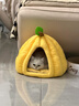 贝初众猫窝冬季保暖封闭式可拆洗猫屋四季通用宠物窝猫床大中小型犬狗窝 南瓜窝【40*40*32推荐8斤内】 全包围 柔软舒适 实拍图