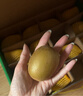佳沛（zespri）新西兰  阳光金奇异果16粒礼盒经典果单果约 77-103g 水果 猕猴桃 实拍图