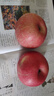 京地达烟台栖霞苹果奶油富士苹果 净重9斤85级大果烟台苹果水果源头直发 实拍图