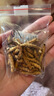 阿依舍冬虫夏草断虫草特大号断草冬虫草5克装礼品 实拍图