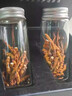 冬虫夏草断草（假一赔十）虫草断草虫草正宗冬虫夏草滋补品保健品 西藏那曲高海拔大断草11克 实拍图