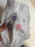 好奇（Huggies）金装拉拉裤XL96片(12-17kg)尿不湿【速干不易红】 实拍图