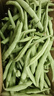 高山四季豆新鲜应季蔬菜豆角豆青现摘现发炒熟食用京东物流 带箱2斤 实拍图