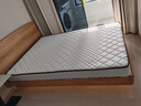 海马飞雪床垫席梦思天然椰棕乳胶独立弹簧床垫酒店厚薄双人家用榻榻米垫子 18cm双面款(乳胶+独立弹簧+椰棕) 1.5x2米 实拍图