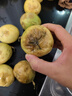 探味君 广西钦蜜9号黄金百香果 新鲜水果白香果酱原浆整箱 生鲜 净重8.5-8.99斤【单果65-80g】 实拍图