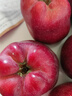京鲜生 甘肃天水花牛苹果 又大又红 净重6斤 单果240g以上 生鲜水果  实拍图