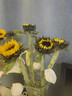 【向日葵】生日礼物鲜切花云南基地直发新鲜太阳花鲜花毕业花束 向日葵10枝 中大花 中大花向日葵 实拍图