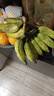 正宗苹果蕉广西香蕉自然熟新鲜水果奶蕉粉蕉小米芭蕉鹏贸 净重3斤 实拍图