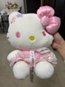 Hello Kitty三丽鸥KT猫毛绒玩偶抱枕玩具女孩娃娃圣诞节礼物 实拍图