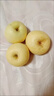 甜萌果蔬山东维纳斯苹果黄金好吃新鲜苹果平安夜水果礼盒圣诞节送礼 5斤12A甄选装【单果约90-100mm】净4.5 实拍图