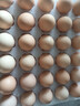 京鲜生【每日鲜蛋】无抗谷物鸡蛋30枚 3.18斤 当日产蛋 当日发货 实拍图