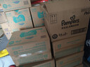 帮宝适散热王者一级帮婴儿拉拉裤尿不湿尿片尿布超薄透气4XL46 实拍图