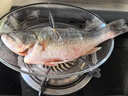 鲜活冲浪河鲈鱼400-500g/条 实拍图