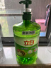 立白 茶籽洗洁精2.9kg A类去污洁净99%除菌去油快不伤手洗涤灵洗碗液 实拍图