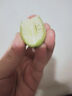 闽臻闽臻2025新果现摘闽清檀香新鲜橄榄福建特产青果孕妇水果青橄榄 鲜橄榄500g*1（普通快递） 2025新果 实拍图