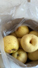 京鲜生 精选砀山梨老树酥梨10斤 单果重250-350g  水果礼盒 实拍图