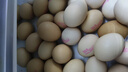德青源A级鲜鸡蛋32枚2.74斤起无抗生素 谷物喂养  营养早餐家庭礼盒 实拍图