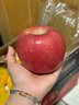 佳农 烟台红富士苹果 净重10斤  单果重190g以上 生鲜水果礼盒 实拍图