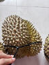 京鲜生 进口金枕头榴莲 2-4个装 总净重14斤以上 鲜果 生鲜 新鲜水果 实拍图