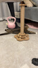 欢宠网猫抓柱猫抓板猫爬架猫玩具猫咪立式剑麻自嗨解闷神器猫猫小猫幼猫 实拍图