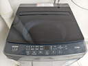 海尔（Haier）波轮洗衣机小型全自动8KG家用XQB80-Z10D0京东自营家电国家补贴以旧换新一级能效宿舍出租房单脱水 实拍图